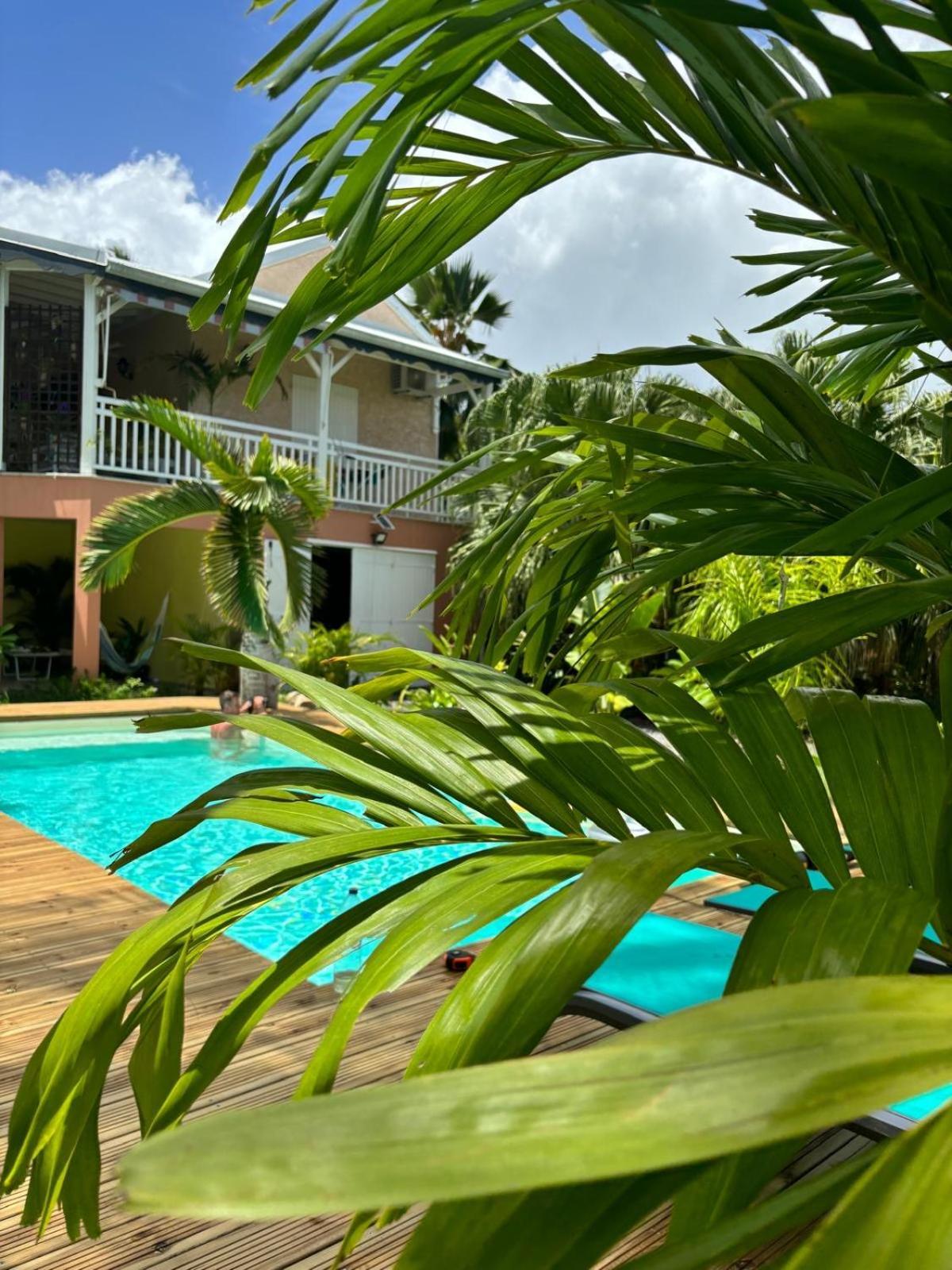Le Petit Havre Tropical Guadeloupe, Gite, Massages & Spa Saint-Francois  Eksteriør bilde