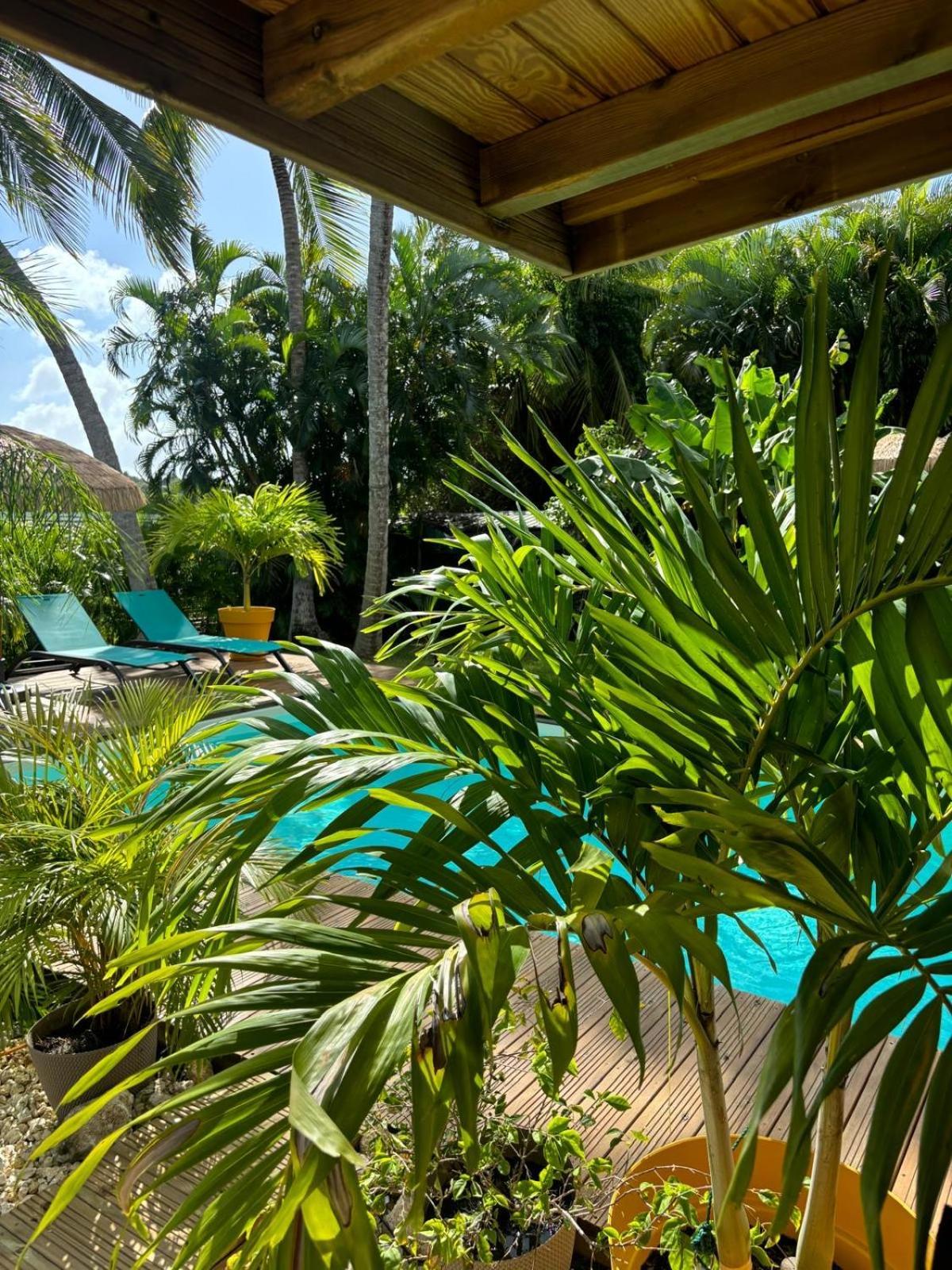 Le Petit Havre Tropical Guadeloupe, Gite, Massages & Spa Saint-Francois  Eksteriør bilde