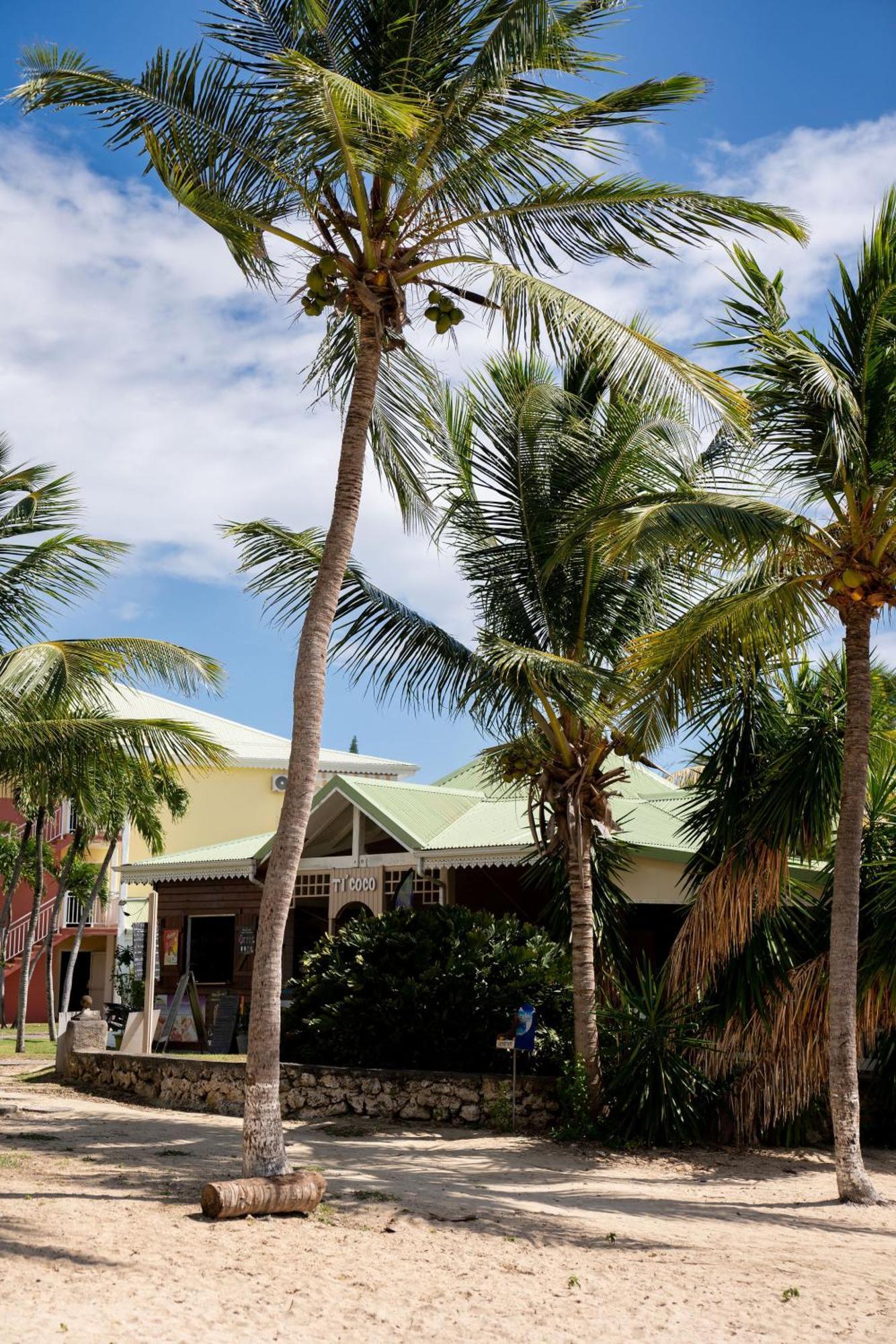 Le Petit Havre Tropical Guadeloupe, Gite, Massages & Spa Saint-Francois  Eksteriør bilde