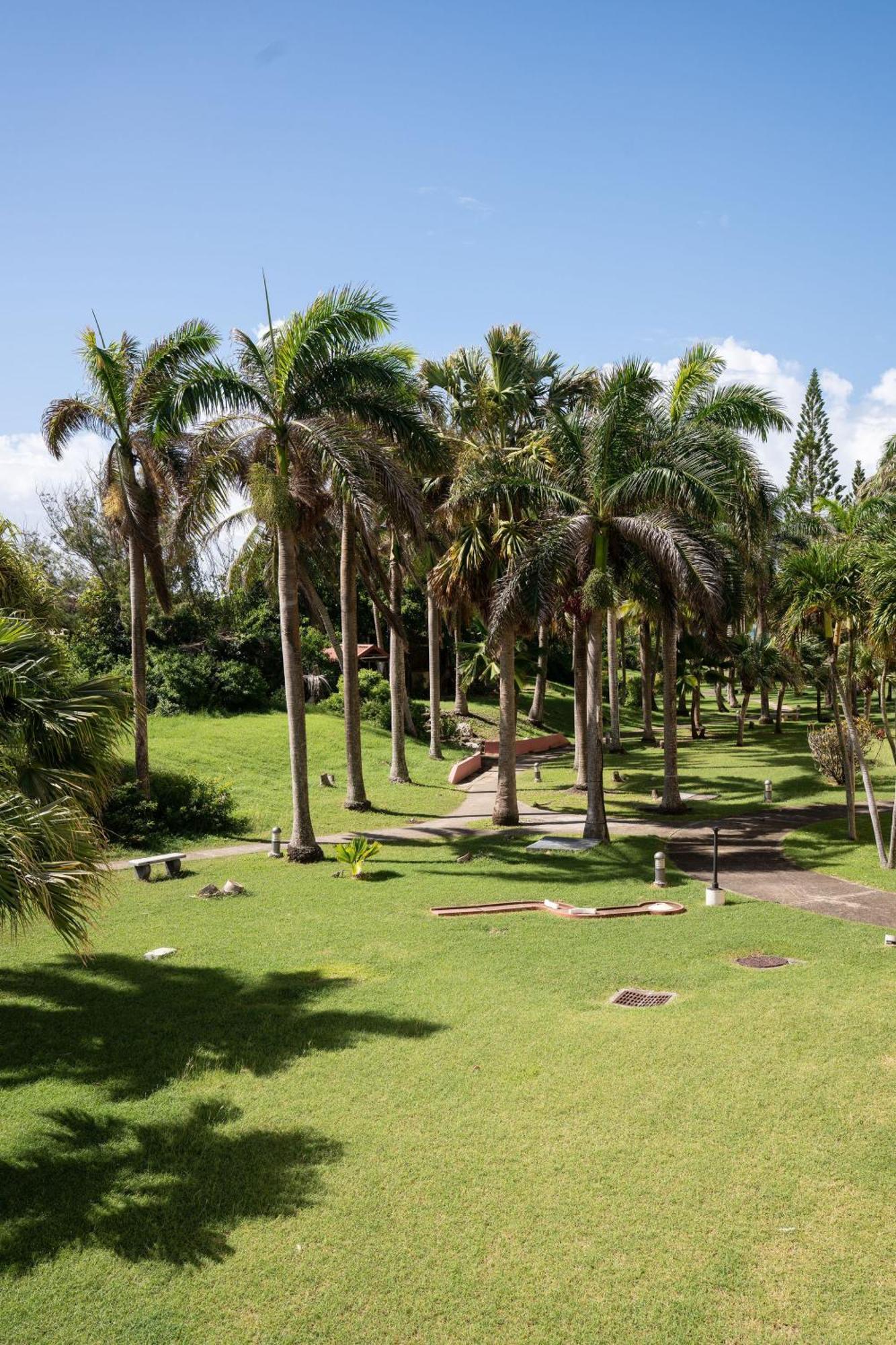 Le Petit Havre Tropical Guadeloupe, Gite, Massages & Spa Saint-Francois  Eksteriør bilde