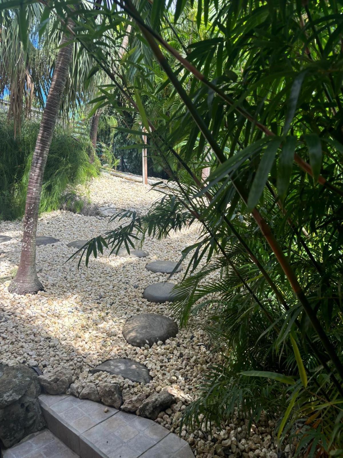 Le Petit Havre Tropical Guadeloupe, Gite, Massages & Spa Saint-Francois  Eksteriør bilde
