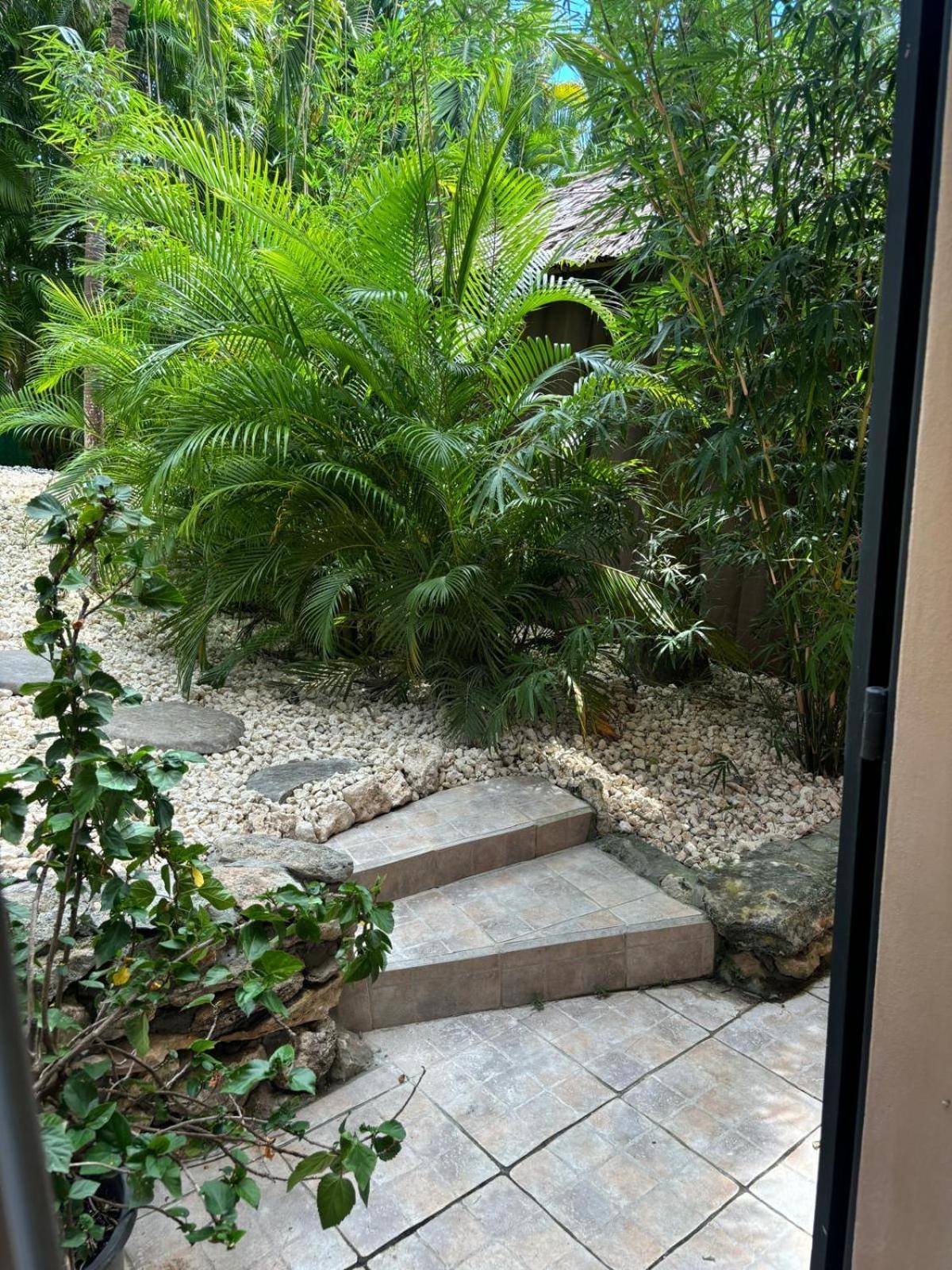 Le Petit Havre Tropical Guadeloupe, Gite, Massages & Spa Saint-Francois  Eksteriør bilde